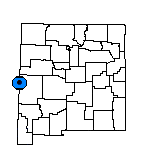 County Map